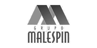 Grupo Malespin